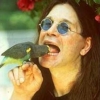 View Picture of Ozzy Osbourne